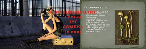 сатива Гусиноозёрск