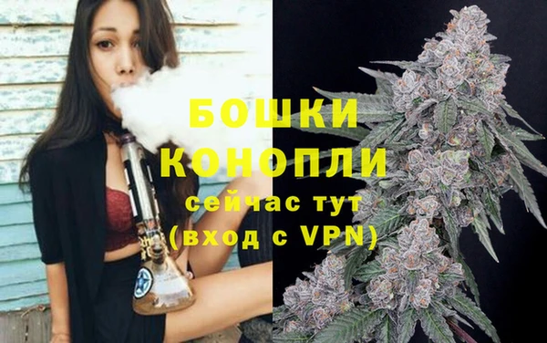сатива Гусиноозёрск