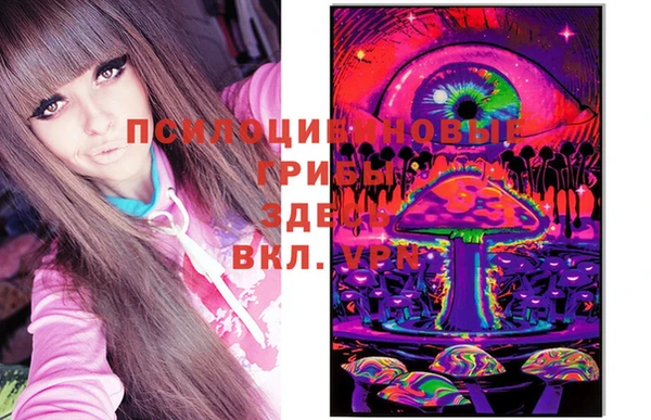сатива Гусиноозёрск