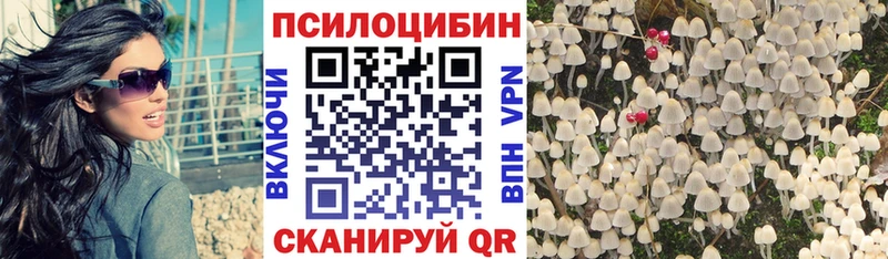 Псилоцибиновые грибы Psilocybine cubensis  Купить закладки  Балашиха 